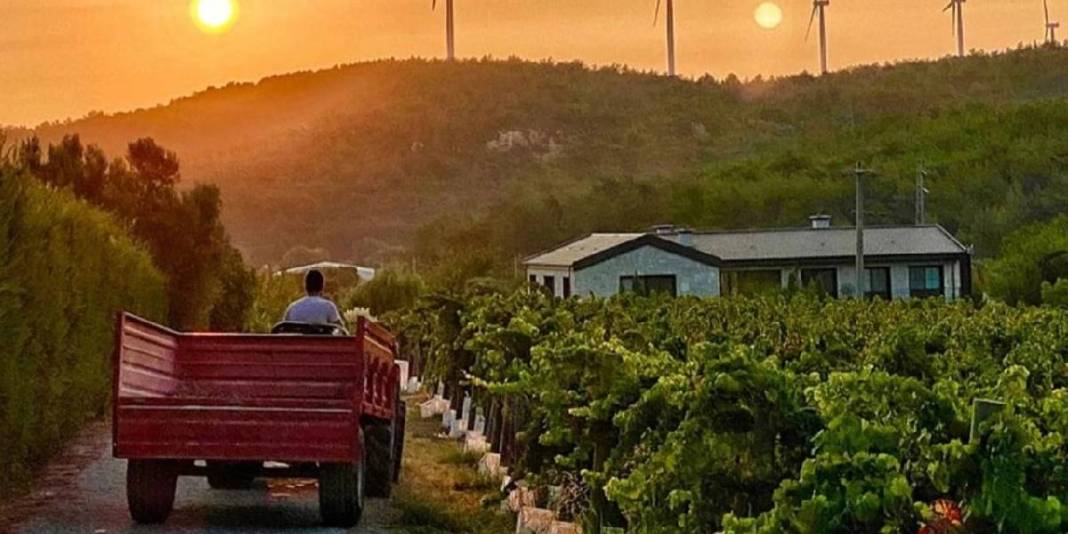 Ege’de saklı bir Avrupa! Zeytinliklerin arasında taş evli huzur köyü: Gideni büyülüyor 1